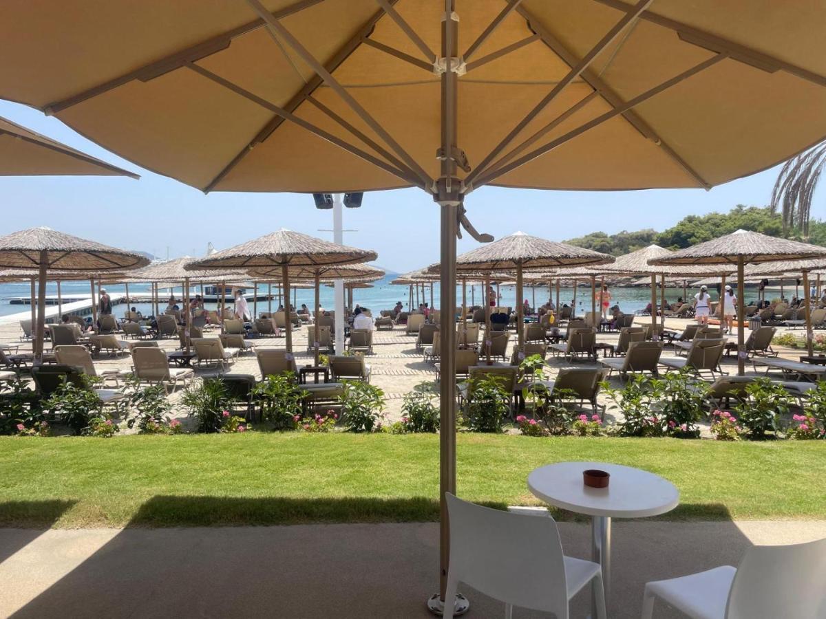 Eagles Nest Villa Athenian Riviera In Aghia Marina Near Lagonisi, Next To The Beach Close To Athens Airport Agia Marina  外观 照片