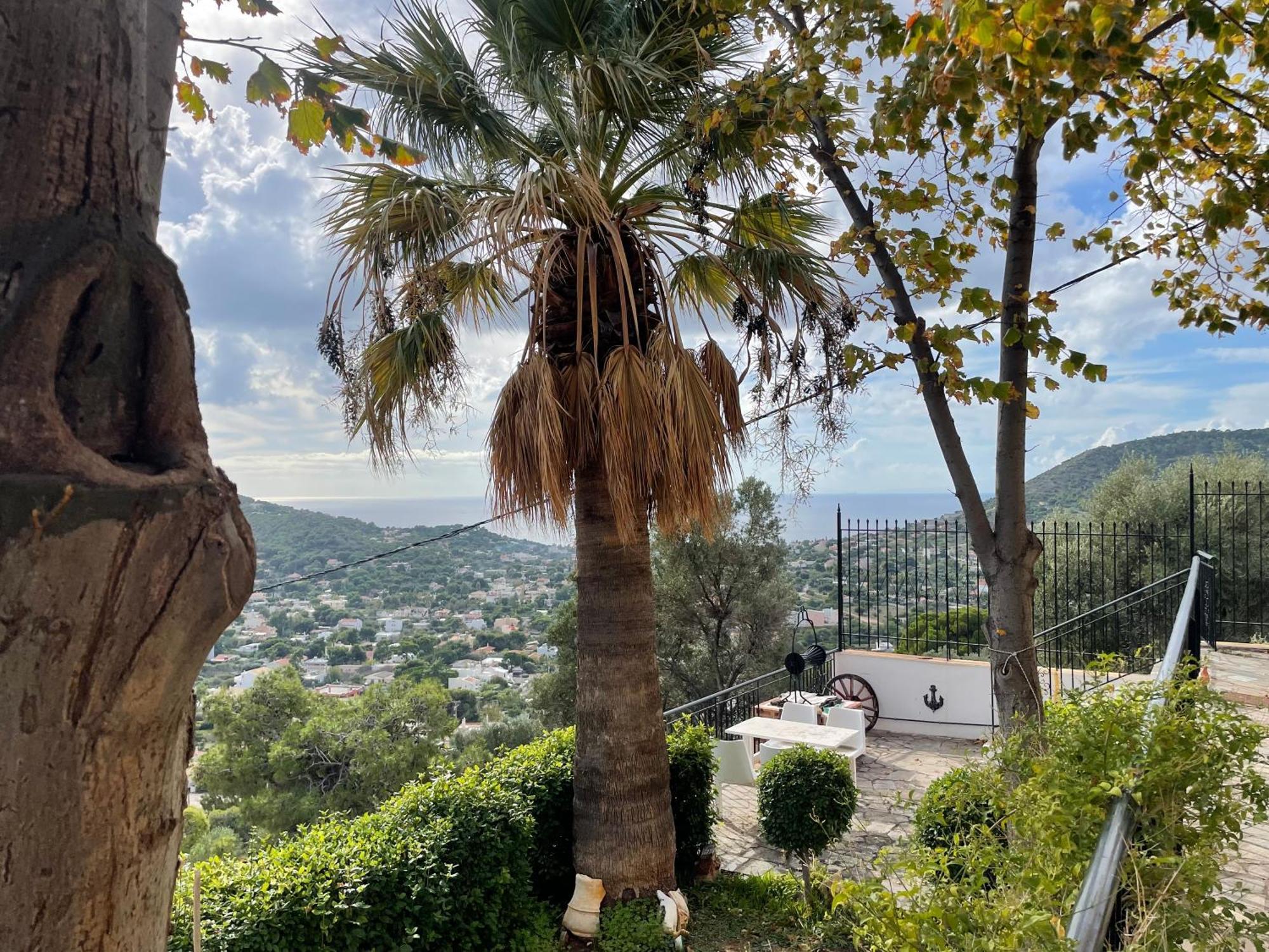 Eagles Nest Villa Athenian Riviera In Aghia Marina Near Lagonisi, Next To The Beach Close To Athens Airport Agia Marina  外观 照片